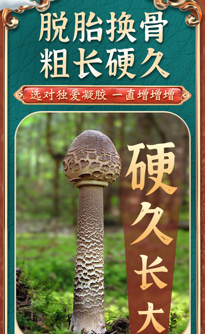 详情-(6)_06.jpg