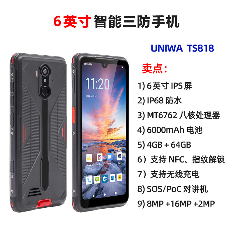801TS8181.jpg