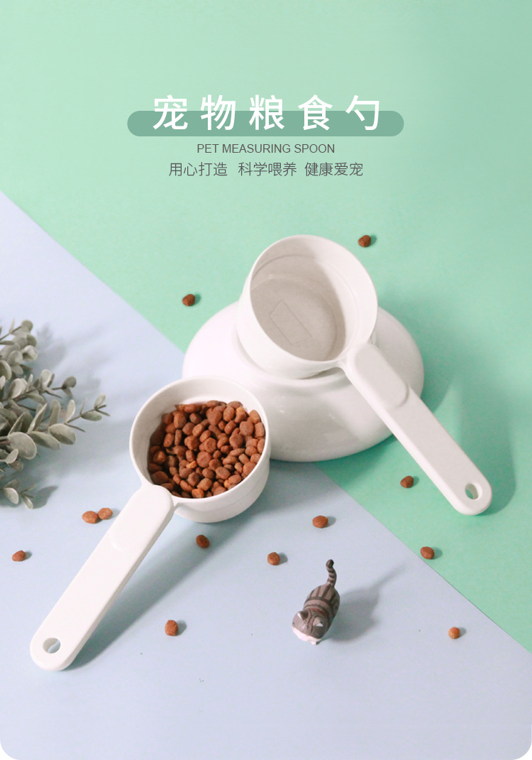 1.主页图 拷贝.jpg